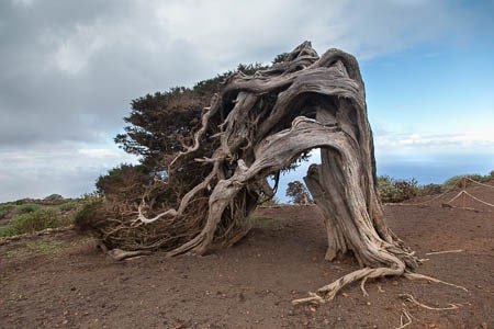 El Hierro