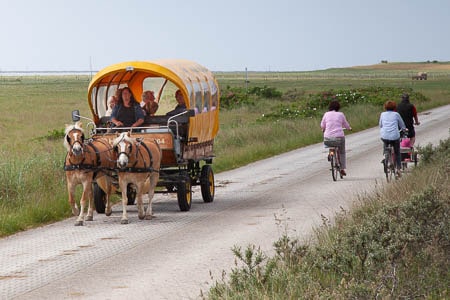 Paardenkar op Juist, Duitsland