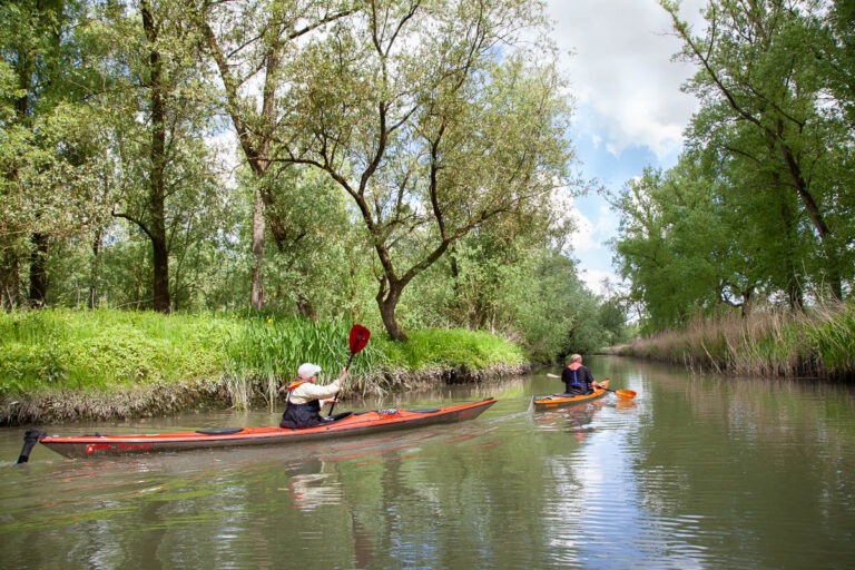 Hollandse Biesbosch: dichtbij of ver weg?