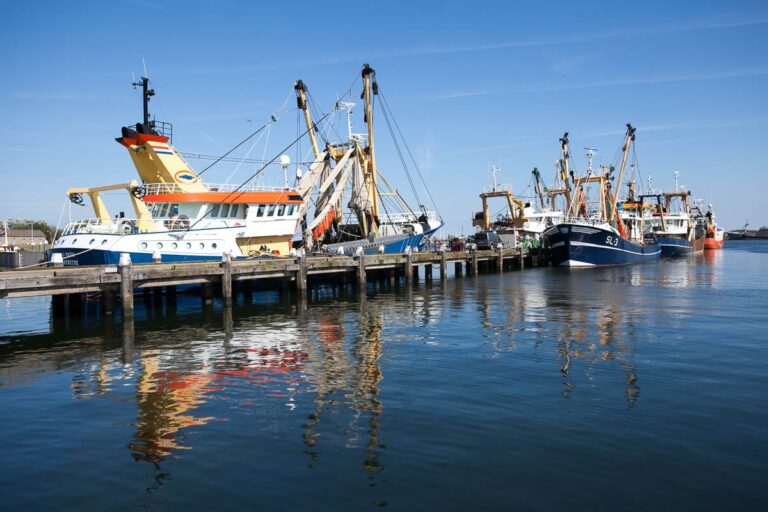 Goeree-Overflakkee: zon, zee en zaligheden