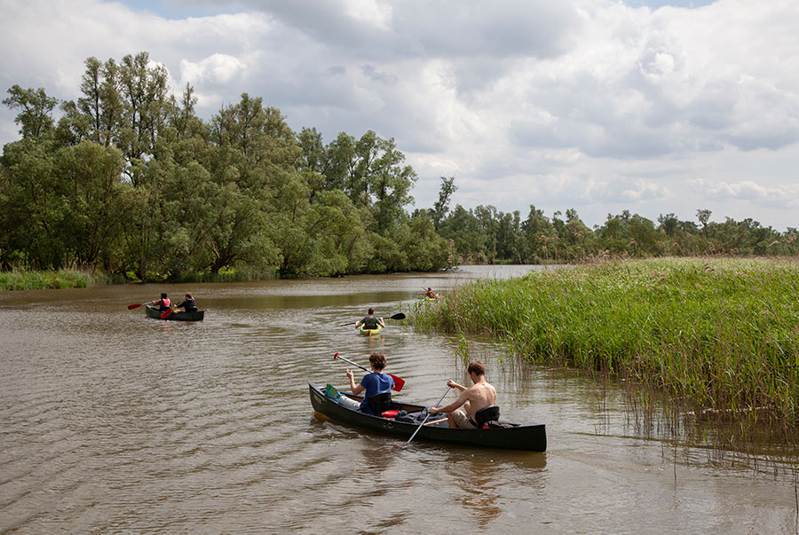 Kanoën in de Brabantse Biesbosch