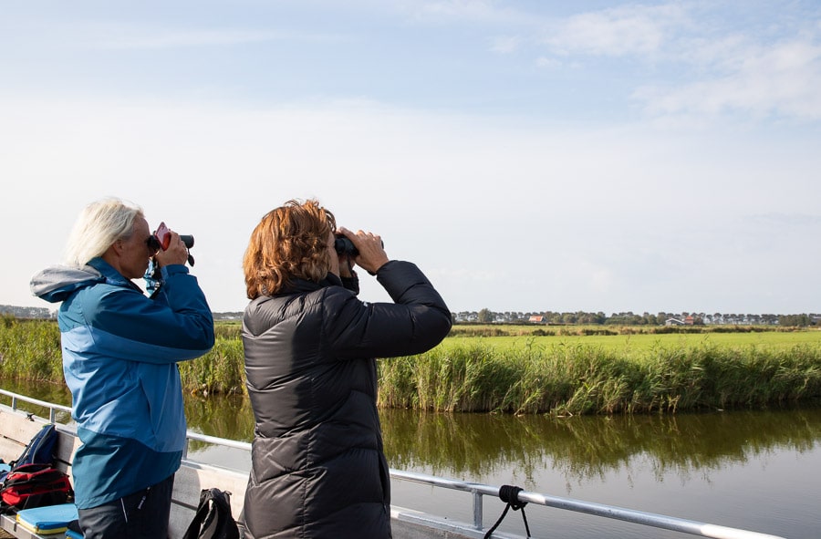 Vogels kijken in het Wormer- en Jisperveld