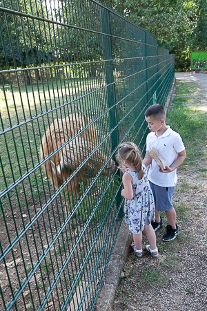 Kinderen voeren een bewoner van het Escher Déierepark in Esch-sur-Alzette