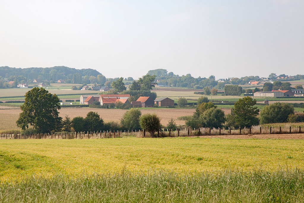 Het platteland van Frans Vlaanderen bij Terdeghem