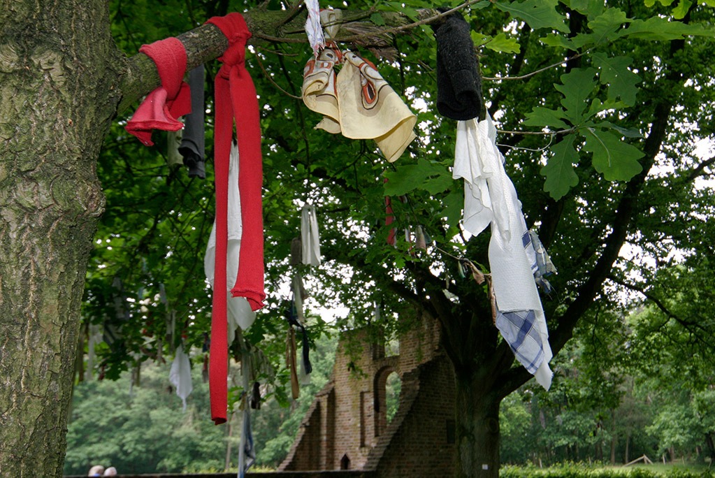 Lapjes in de Koortsboom bij Overasselt