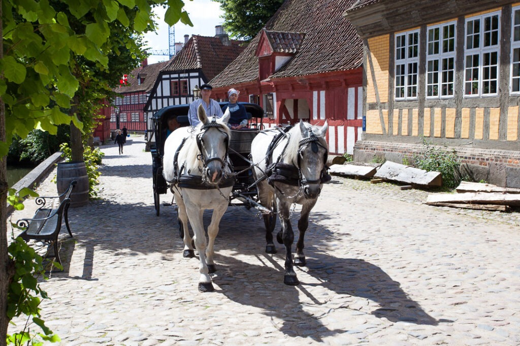 Paard en wagen in Openluchtmuseum Den Gamble By