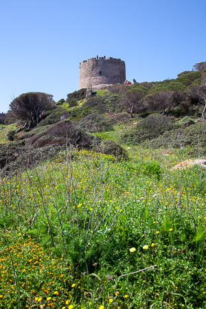 Torre di Langosardo bij Santa Teresa di Gallura