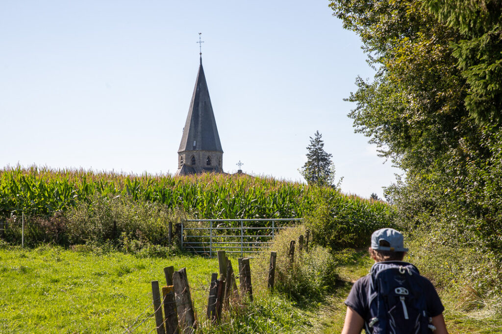 Wandelaar in de Vlaamse Ardennen